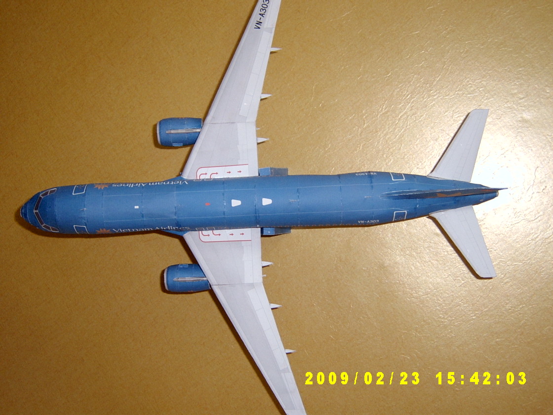베트남에어라인 VN-A303 (4).JPG